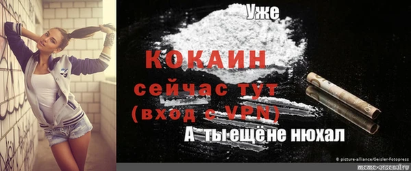 дживик Белоозёрский